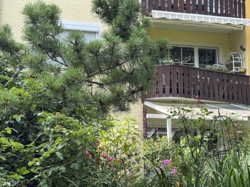S�dbalkone Mehrfamilienhaus F�rstenfeldbruck
