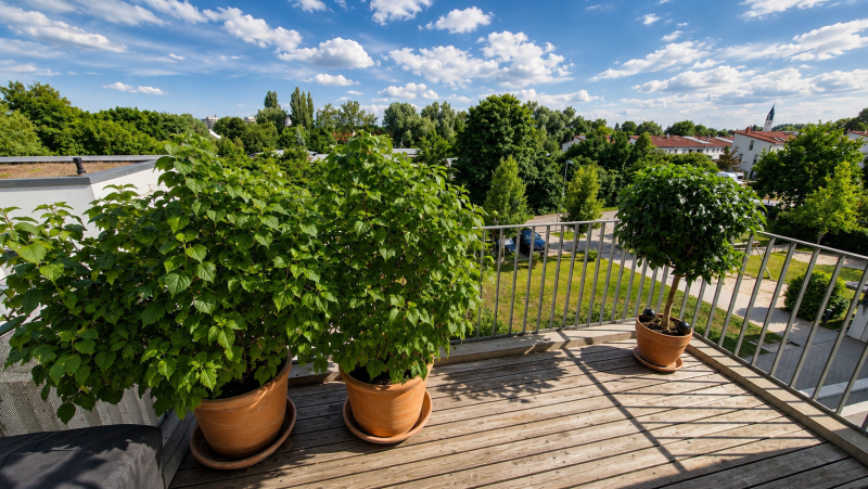 Gro�er Balkon mit Holzpanelen Wohnung Freising