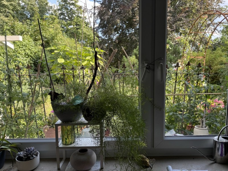 Blick aus K�che im UG Mehrfamilienhaus F�rstenfeldbruck